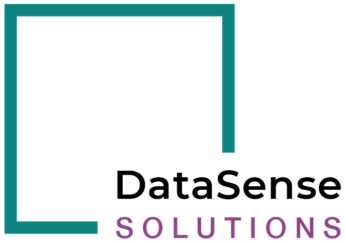 DataSense Solutions Inc.